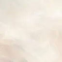 田村 架乃のプロフィール画像