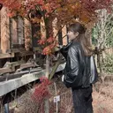 Lino ¦órunailのプロフィール画像