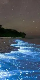 Inoue Taemiのプロフィール画像