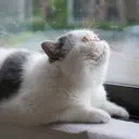 nail sheerのプロフィール画像