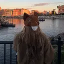 (h)wim kikoのプロフィール画像