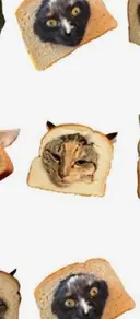 🎀ノア Lune Nail🎀のプロフィール画像