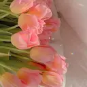 かとおの みさきのプロフィール画像