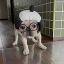 山口 真莉のプロフィール画像