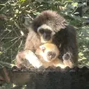 尾関 陽斗のプロフィール画像