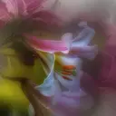 🌷unRiche 🌷iwasakiのプロフィール画像