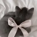 etora Shibuya🪽のプロフィール画像