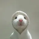 矢崎 愛のプロフィール画像