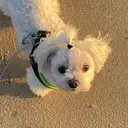 鈴木 美空のプロフィール画像