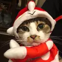 根本 由菜のプロフィール画像