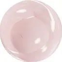 Laurel yuaのプロフィール画像