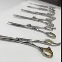 katayama Tomomiのプロフィール画像