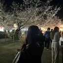 森 柚希のプロフィール画像