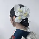 堀内 心羽のプロフィール画像