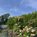 柚木山 莉菜のプロフィール画像