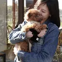 CIVOLI niiのプロフィール画像