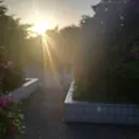 Unica Kanako,zのプロフィール画像