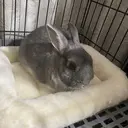 白瀬 梓未のプロフィール画像