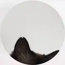 moca 心斎橋 nanako .のプロフィール画像