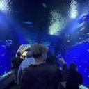 熊谷 天童のプロフィール画像