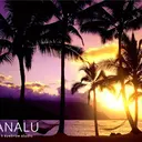 Leanalu川崎 Kobayashiのプロフィール画像