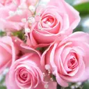 メナードフェイシャル サロン桜ヶ丘南のプロフィール画像