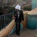 野村 歩弥のプロフィール画像