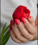 ｍｅｌｉｓｓａ Ｎａｉｌｓのプロフィール画像