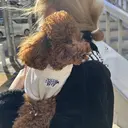 luana minoriのプロフィール画像