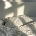 carrfour Noa富田のプロフィール画像