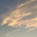 カーニバルマニア harunaのプロフィール画像