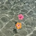 臼井 乃以衣のプロフィール画像