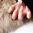 Morpho nailのプロフィール画像