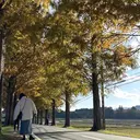 川嵜 紗久良のプロフィール画像