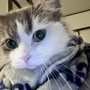 小林 詩瑶のプロフィール画像