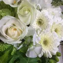 nonaMe 森のプロフィール画像