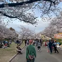 段野吾颯 /ベージュカラーのプロフィール画像