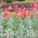 和田 菜摘のプロフィール画像