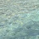 札幌まつ毛/眉毛 🍒koto🍒のプロフィール画像