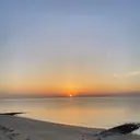 林 蓮人のプロフィール画像