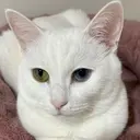 つちだ れいなのプロフィール画像