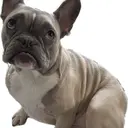 若葉店💅 水野のプロフィール画像