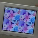 miyuu/高円寺 🦩🌷のプロフィール画像