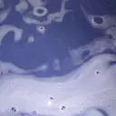 Nico ニコのプロフィール画像