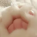 アイデザイナー 山下のプロフィール画像