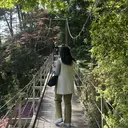 河口 芽生のプロフィール画像