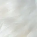 Nail♡ Salon+のプロフィール画像