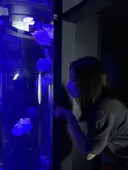 関 まゆみのプロフィール画像