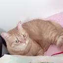 R salonのプロフィール画像