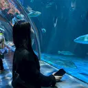 𝑹𝒊𝒐 【無料モデル募集中】のプロフィール画像